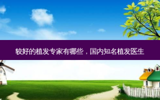 较好的植发专家有哪些，国内知名植发医生
