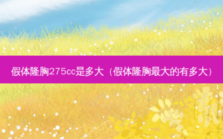 假体隆胸275cc是多大（假体隆胸大的有多大）