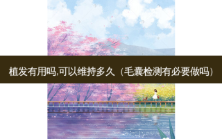 植发有用吗,可以维持多久（毛囊检测有必要做吗）