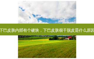 下巴皮肤内部有个硬块，下巴皮肤很干脱皮是什么原因
