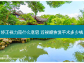 矫正视力是什么意思 近视眼恢复手术多少钱