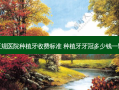 正规医院种植牙收费标准 种植牙牙冠多少钱一颗