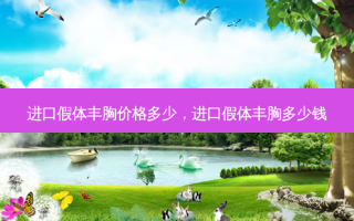 进口假体丰胸价格多少，进口假体丰胸多少钱