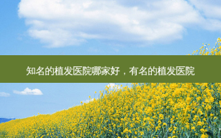 知名的植发医院哪家好，有名的植发医院