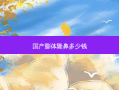 国产膨体隆鼻多少钱