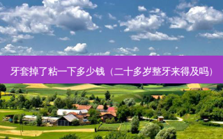 牙套掉了粘一下多少钱（二十多岁整牙来得及吗）