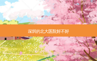 深圳的北大医院好不好