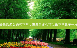 隆鼻后多久通气正常，隆鼻后多久可以像正常鼻子一样