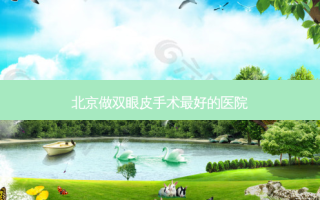 北京做双眼皮手术好的医院