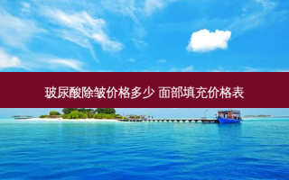 玻尿酸除皱价格多少 面部填充价格表