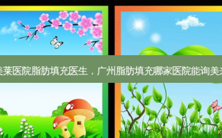 美莱医院脂肪填充医生，广州脂肪填充哪家医院能询美来
