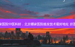 北京哪家医院中医科好，北京哪家医院植发技术 *** 好地址 碧莲盛简介