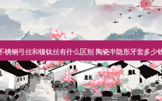 不锈钢弓丝和镍钛丝有什么区别 陶瓷半隐形牙套多少钱