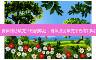 自体脂肪填充下巴的弊处，自体脂肪填充下巴有用吗