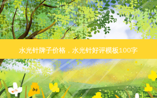 水光针牌子价格，水光针好评模板100字