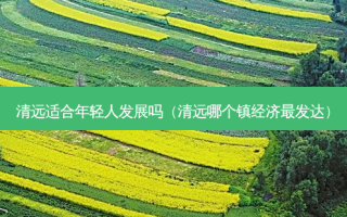 清远适合年轻人发展吗（清远哪个镇经济发达）