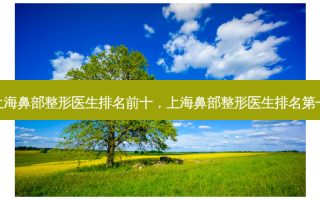上海鼻部整形医生排名前十，上海鼻部整形医生 *** 