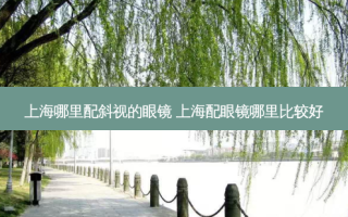 上海哪里配斜视的眼镜 上海配眼镜哪里比较好