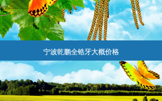 宁波乾鹏全锆牙大概价格