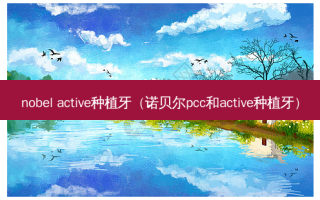 nobel active种植牙（诺贝尔pcc和active种植牙）