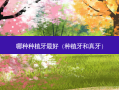 哪种种植牙好（种植牙和真牙）
