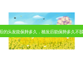 植发后的头发能保持多久，植发后能保持多久不脱发呢