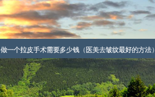 做一个拉皮手术需要多少钱（医美去皱纹好的 *** ）