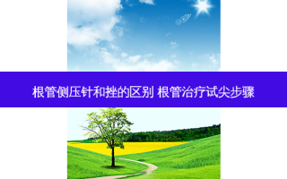 根管侧压针和挫的区别 根管试尖步骤