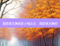 脂肪填充胸部多少钱左右，脂肪填充胸部