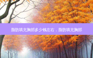 脂肪填充胸部多少钱左右，脂肪填充胸部