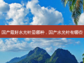 国产 *** 好水光针是哪种，国产水光针有哪些