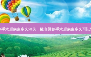 腋臭微创手术后疤痕多久消失，腋臭微创手术后疤痕多久可以恢复如初