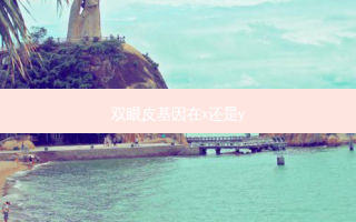 双眼皮基因在x还是y