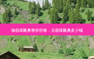 做假体隆鼻整容价格，去假体隆鼻多少钱