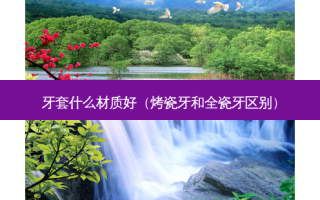 牙套什么材质好（烤瓷牙和全瓷牙区别）