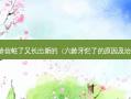 六龄齿蛀了又长出新的（六龄牙烂了的原因及）