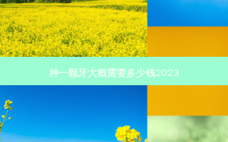 种一颗牙大概需要多少钱2023