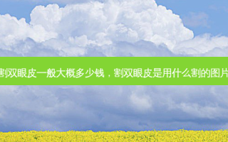 割双眼皮一般大概多少钱，割双眼皮是用什么割的图片