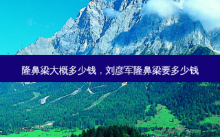 隆鼻梁大概多少钱，刘彦军隆鼻梁要多少钱