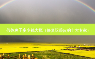 假体鼻子多少钱大概（修复双眼皮的十大专家）