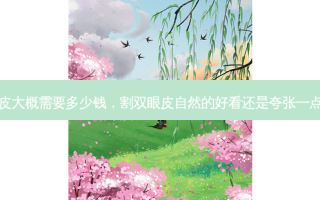 割双眼皮大概需要多少钱，割双眼皮自然的好看还是夸张一点的好看