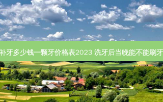 补牙多少钱一颗牙价格表2023 洗牙后当晚能不能刷牙