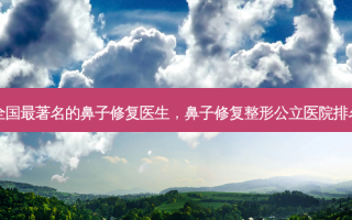 全国 *** 著名的鼻子修复医生，鼻子修复整形公立医院排名