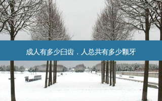 成人有多少臼齿，人总共有多少颗牙