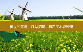 植发的疼痛可以忍受吗，植发完不能碰吗
