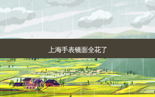 上海手表镜面全花了