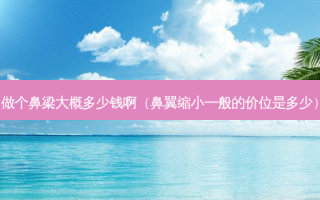 做个鼻梁大概多少钱啊（鼻翼缩小一般的价位是多少）