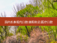 国内长春现代口腔(普阳街店)医疗口腔
