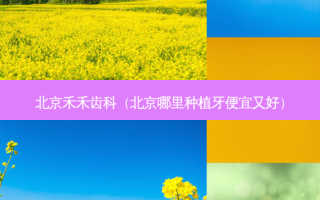 北京禾禾齿科（北京哪里种植牙便宜又好）