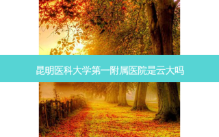 昆明医科大学第一附属医院是云大吗